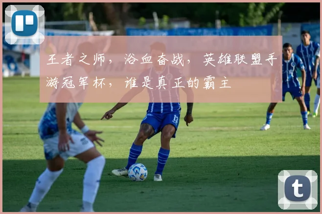 王者之师,浴血奋战,英雄联盟手游冠军杯,谁是真正的霸主